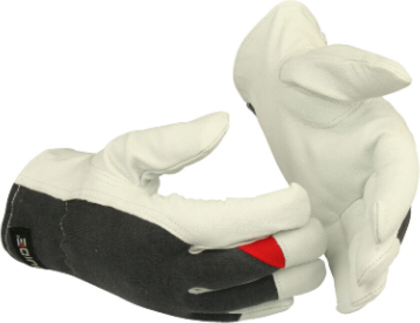 223561622 HANSKE GUIDE 55 7