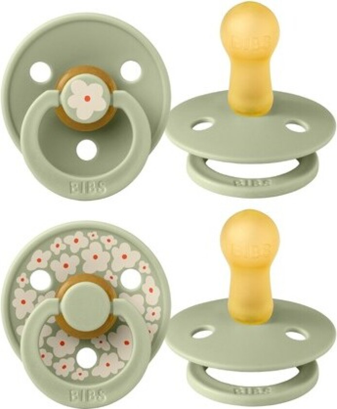 Bibs Studio Line - 2-pakning, Str. 2 (6+ Md.), Rund - Lateks,