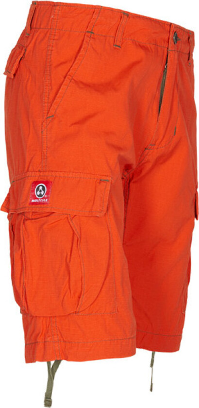 Molecule Featherweights Shorts Orange Large / W35-38