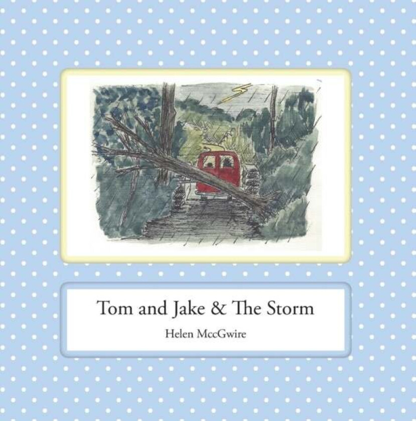 Tom and Jake & the Storm av Helen MccGwire