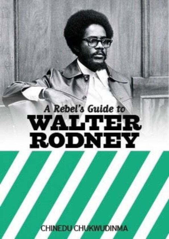 A Rebel's Guide To Walter Rodney av Chinedu Chukwudinma
