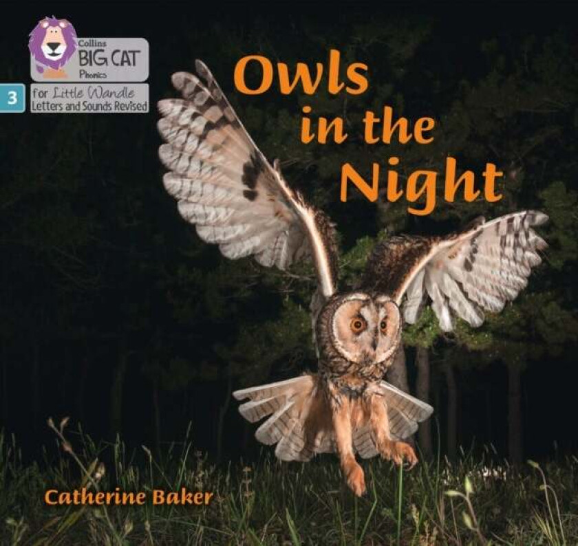 Owls in the Night av Catherine Baker