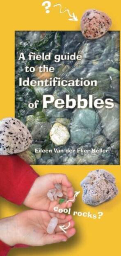 A Field Guide to the Identification of Pebbles av Eileen Van der Flier-Keller