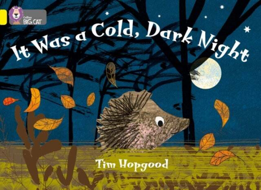 It Was a Cold Dark Night av Tim Hopgood