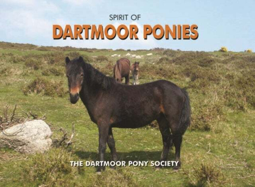 Spirit of Dartmoor Ponies av Dartmoor Pony Society
