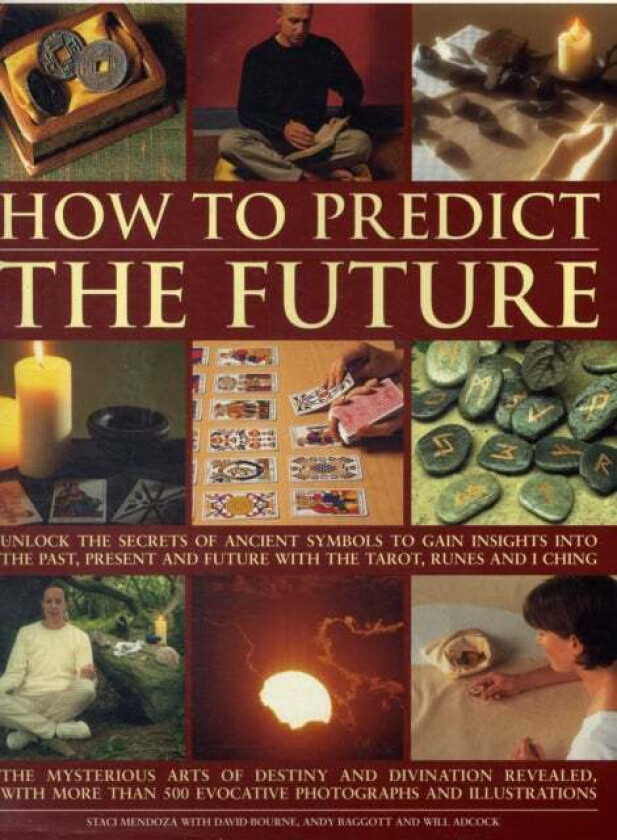 How to Predict the Future av Staci Mendoza