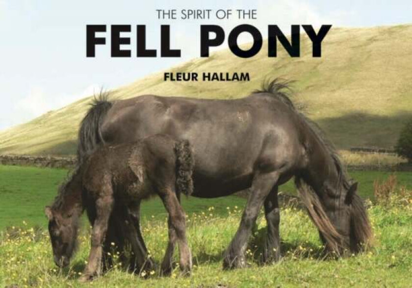 The Spirit of the Fell Pony av Fleur Hallam
