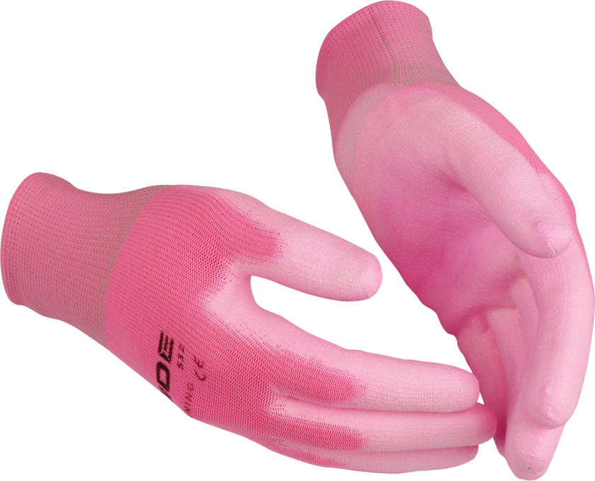 Hagehanske Guide 532 Str. 10