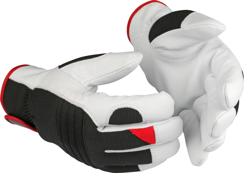 HANSKE G49 FORET GEIT 11