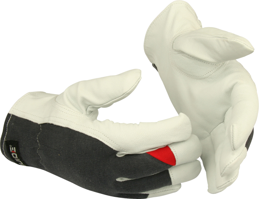 223561655 HANSKE GUIDE 55 10