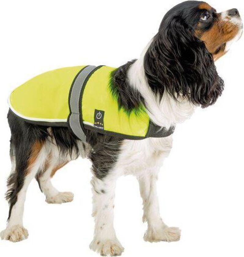 FerPlast Radius Refleksvest til hund med LED lys - 30cm