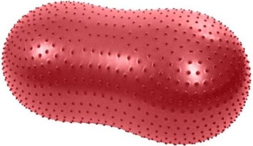 Bilde av Physio Tactile Peanut - 60 cm