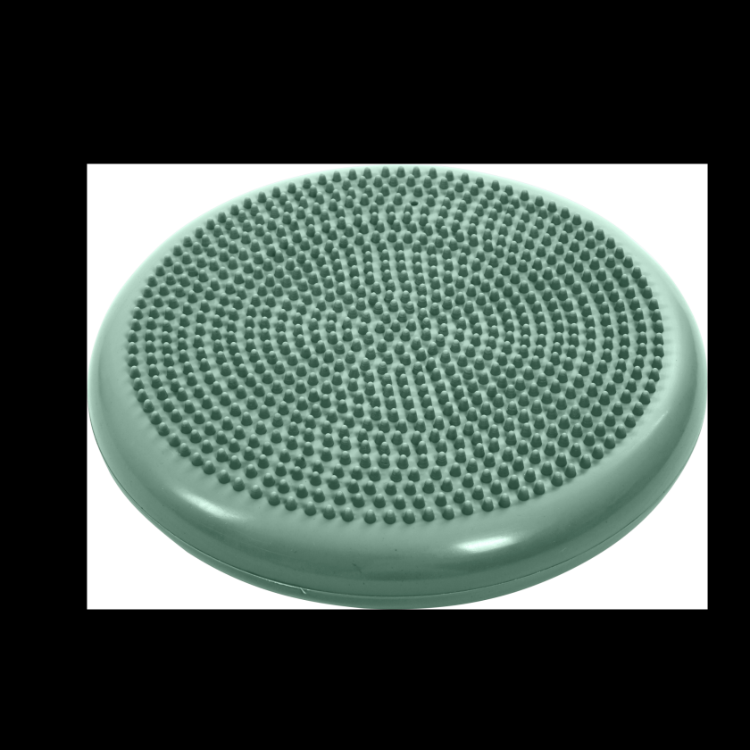 Bilde av Physio Tactile Balance Discus, Balansepute Styrketrening Fysioterapi Hund - 55 cm