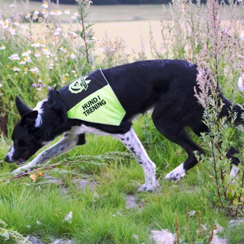 Markeringsdekken med tekst (5 varianter) - Small