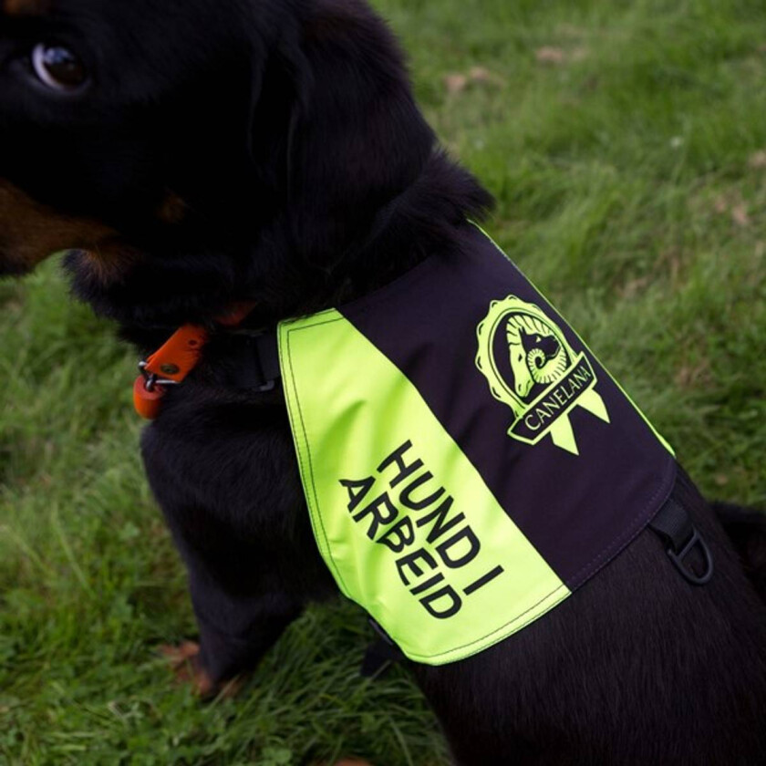 Markeringsdekken med tekst (5 varianter) - Small