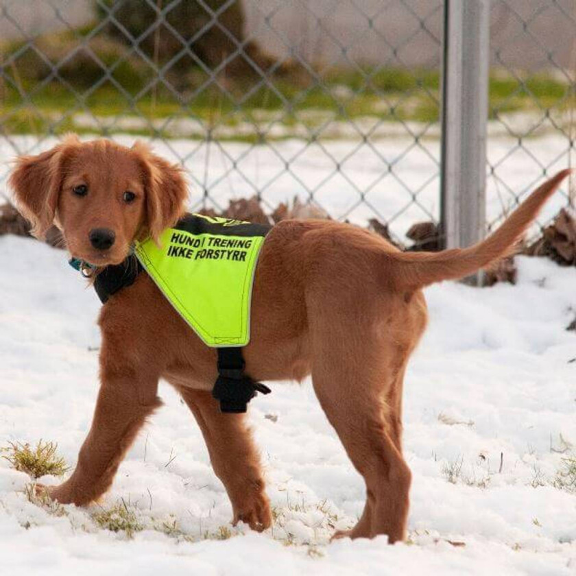 Markeringsdekken med tekst (5 varianter) - Small