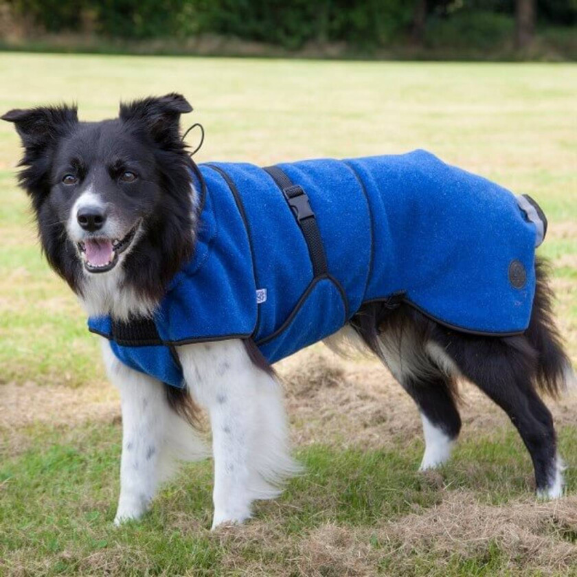 Lana Hundedekken i Ull (Blå) - XL Long