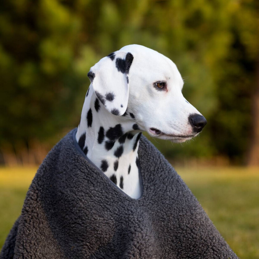 Hundeponcho / Hundepledd i Ull - 100x100