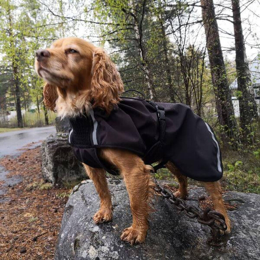 Cover Vind- / Regndekken Hundedekken Softshell Sort - M/L 53 cm