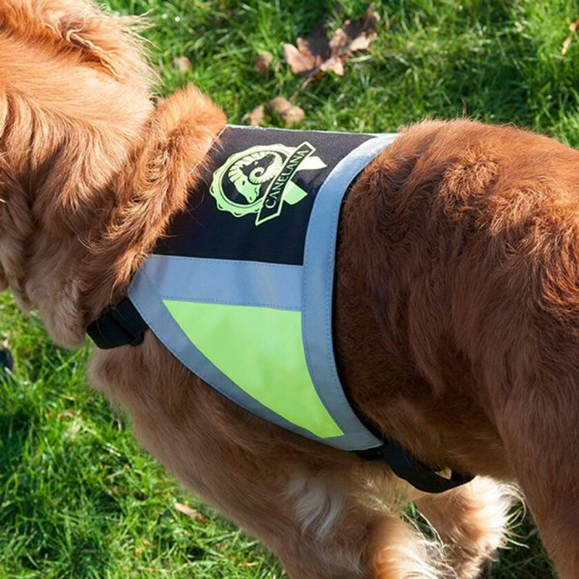 Refleksdekken - Medium - Gul