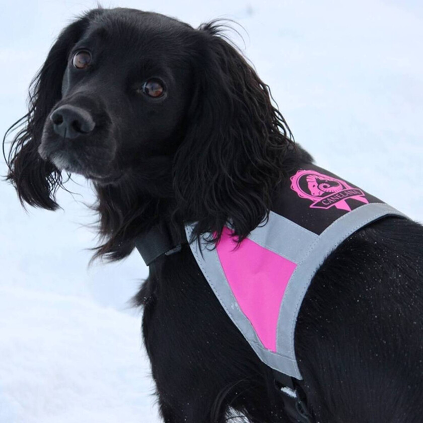 Refleksdekken - Xsmall - Rosa