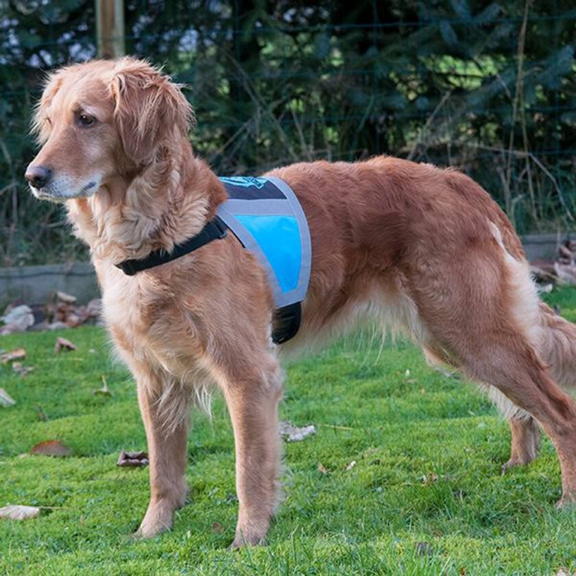 Refleksdekken - Small - Blå