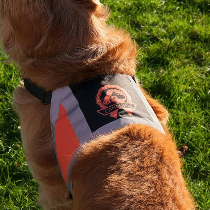 Refleksdekken - Medium - Orange