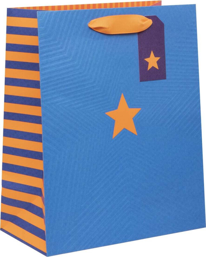 Gavepose Large Colour Hub Blue