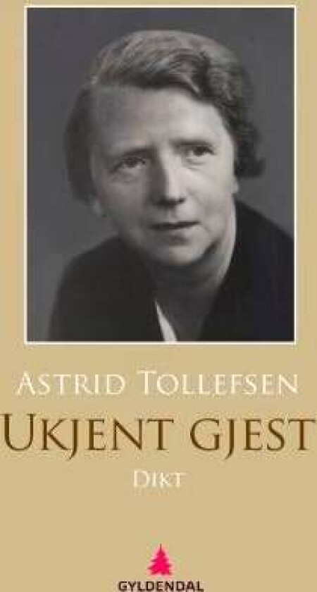 Ukjent gjest av Astrid Tollefsen