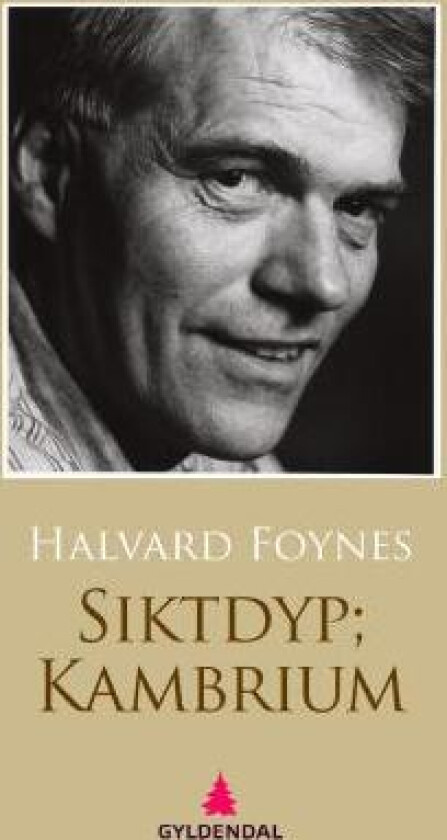 Siktdyp kambrium av Halvard Foynes