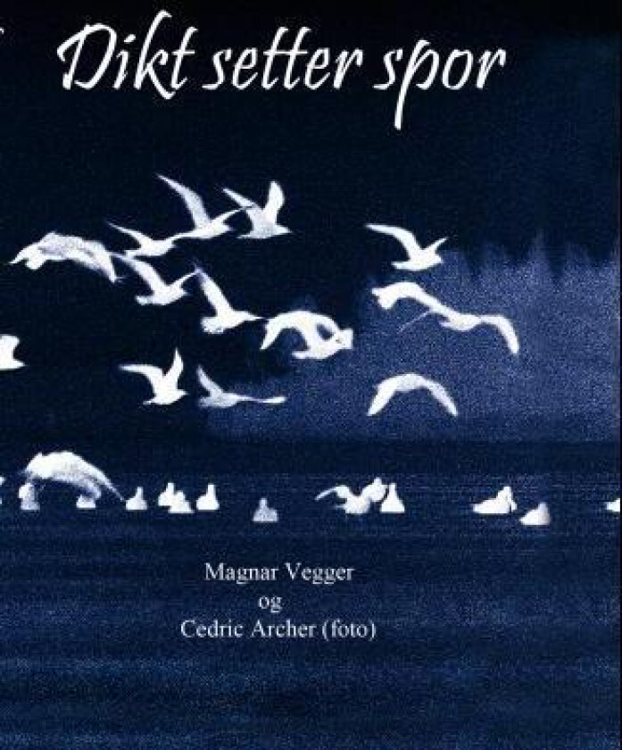 Dikt setter spor av Magnar Vegger