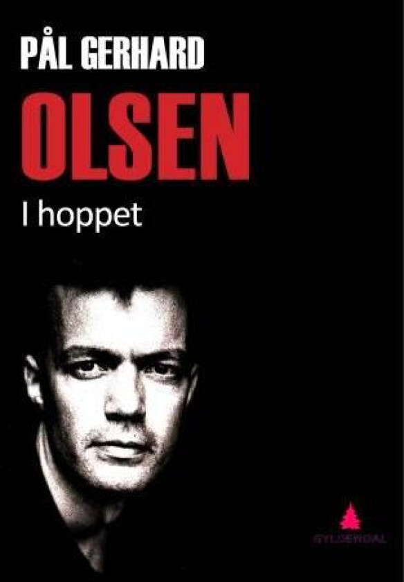 Bilde av I hoppet av Pål Gerhard Olsen