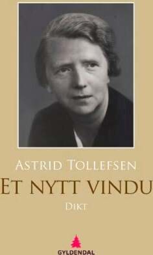 Et nytt vindu av Astrid Tollefsen