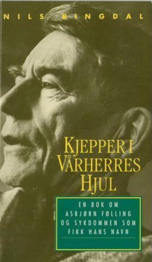 Kjepper i Vårherres hjul av Nils Ringdal