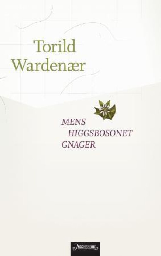 Mens Higgsbosonet gnager av Torild Wardenær