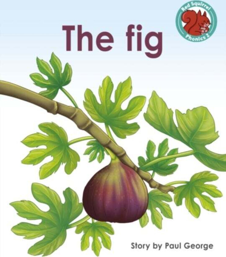 The Fig av Paul George