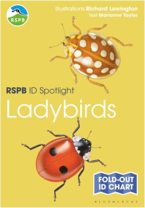RSPB ID Spotlight - Ladybirds av Marianne Taylor
