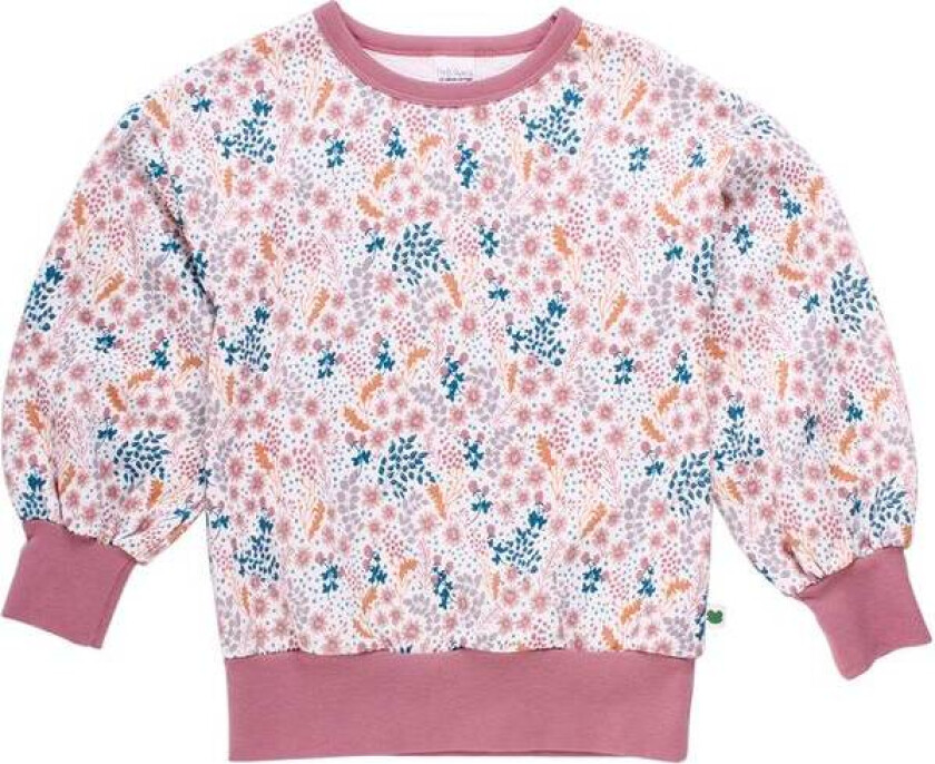 Fred`S World Botany Sweatshirt, Cream