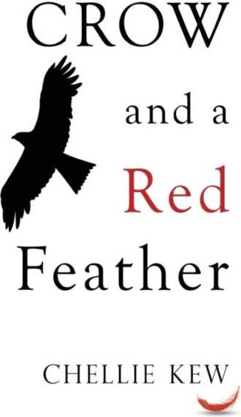 Crow and a Red Feather av Chellie Kew