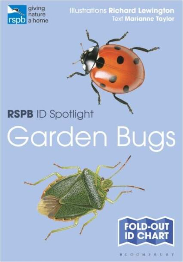 RSPB ID Spotlight - Garden Bugs av Marianne Taylor