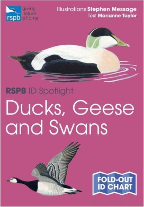 RSPB ID Spotlight - Ducks, Geese and Swans av Marianne Taylor