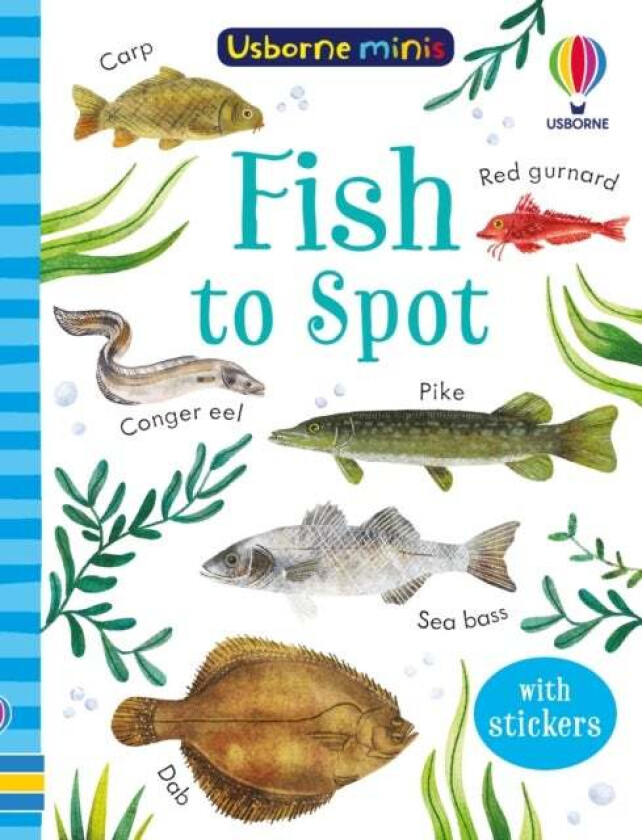 Fish to Spot av Kate Nolan
