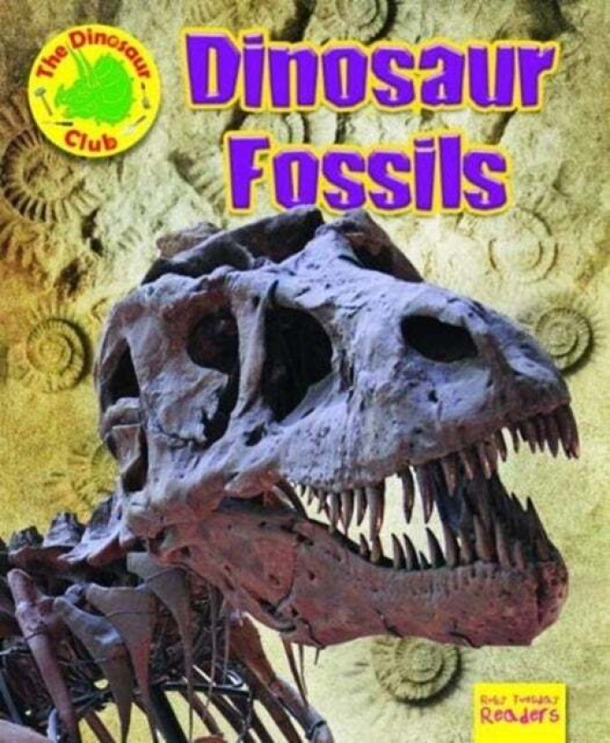 Dinosaur Fossils av Ruth Owen