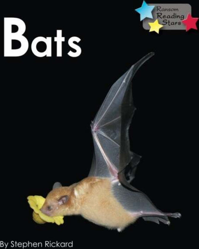 Bats av Rickard Stephen