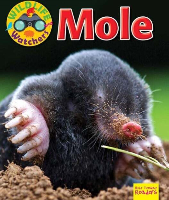 Wildlife Watchers: Mole av Ruth Owen