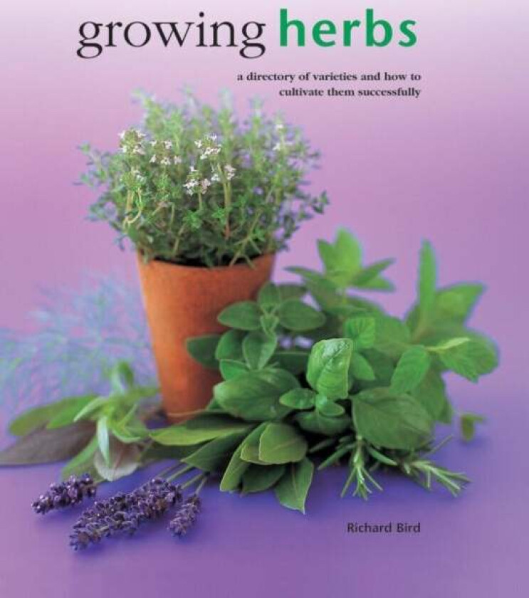 Growing Herbs av Bird Richard
