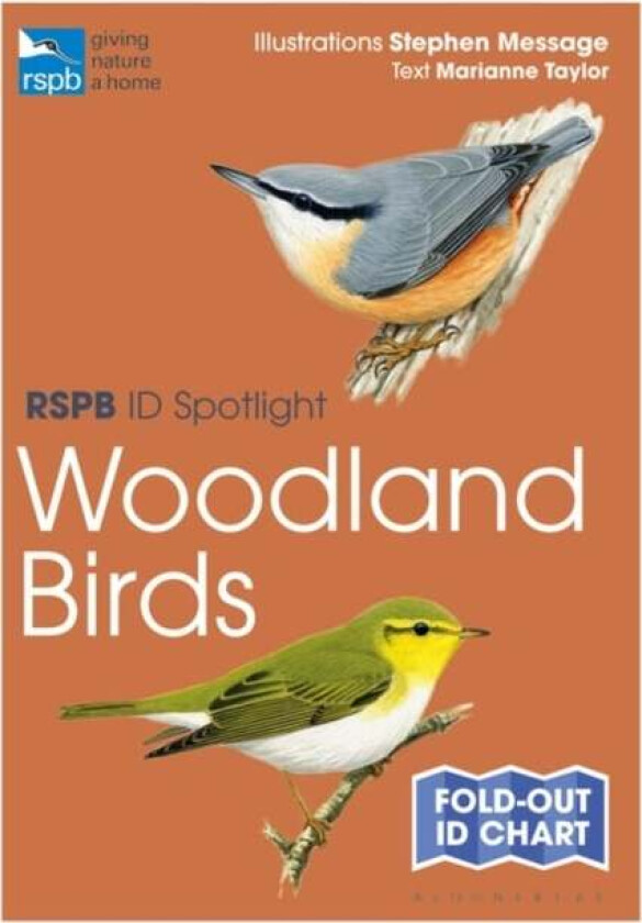 RSPB ID Spotlight - Woodland Birds av Marianne Taylor
