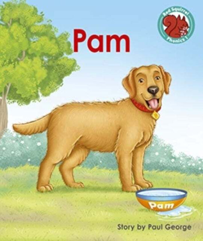 Pam av Paul George