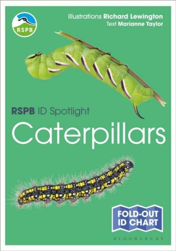 RSPB ID Spotlight - Caterpillars av Marianne Taylor