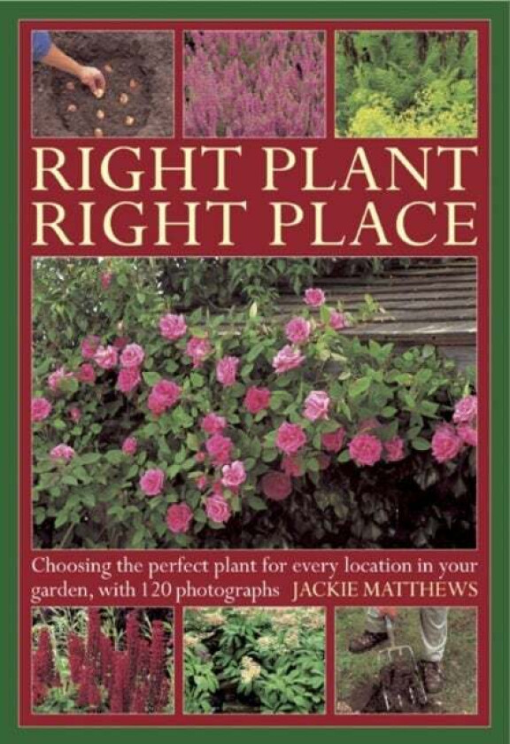 Right Plant Right Place av Jackie Matthews